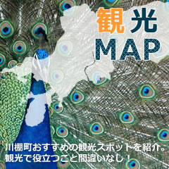 観光マップ