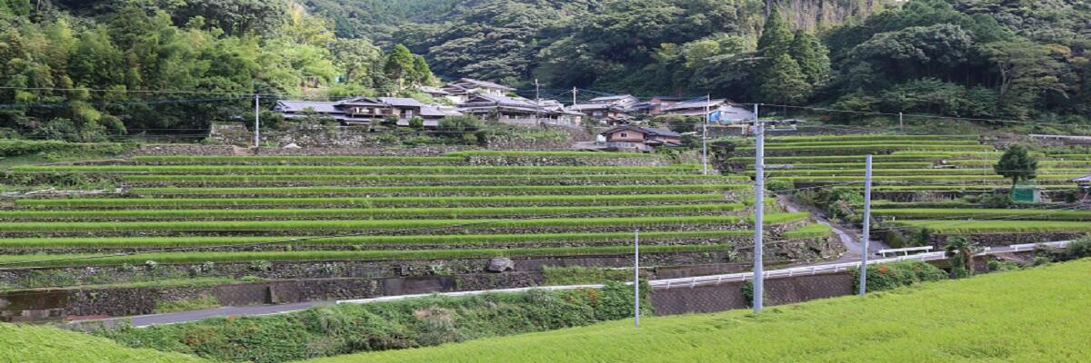 日向の棚田