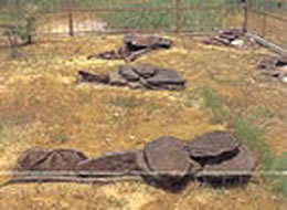 徳島古墳の石棺群