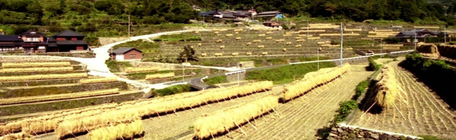 長崎県川棚町観光ガイド 天然温泉・キャンプ場・海水浴場・国民宿舎紹介などスポット情報満載!